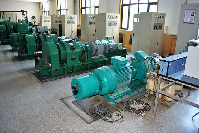 Y8008-10某热电厂使用我厂的YKK高压电机提供动力